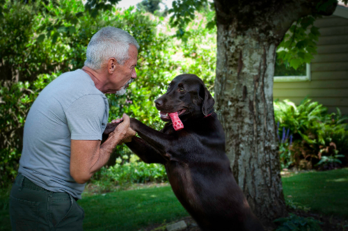 Michael G playing with his dog Rufus in the yard